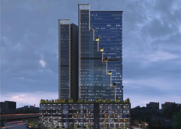 Untitled (700 x 500 px) (8)